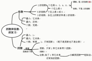 97的因数，96的因数有哪些有几个