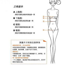 腰围测量标准，腰围测量的软尺最小刻度是()