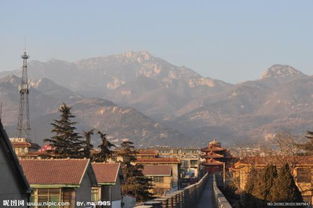 泰安邮编泰山区，泰安邮编邮编肥城邮编