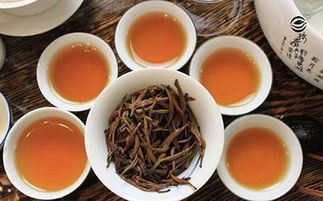 云南滇红茶属于什么茶类