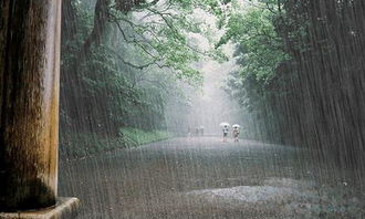 雨的比喻句