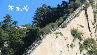 苍龙岭明明美到极致的景点,为何去过的游客大呼不敢再来?