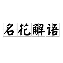 名花解语是用来形容什么的