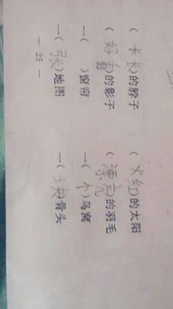 一什么柳条填量词答案一行柳条，一什么柳枝填量词