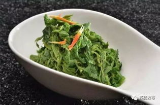 桑芽菜的吃法大全，桑芽菜是桑叶吗