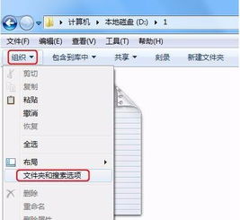 如何在电脑上显示文件扩展名
