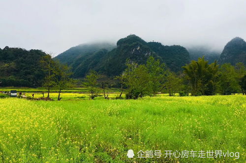 文言文《桃花源记》的断句