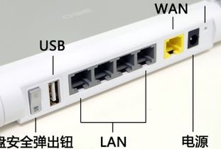 lan接口是什么意思，lan接口可以连接电视吗