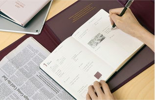 手账本怎么做 内容，手账本怎么做简单又漂亮不用贴纸
