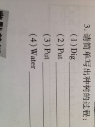 种树英文作文，公共演讲种树英文
