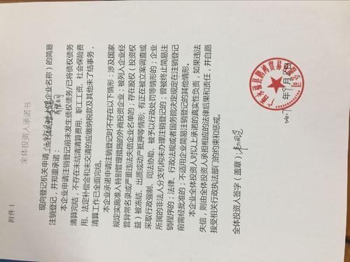 诉讼费什么时候交