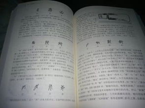 追本溯源拼音，追本溯源类比推理
