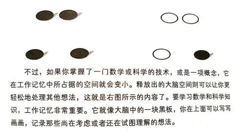 长期记忆是怎么形成的