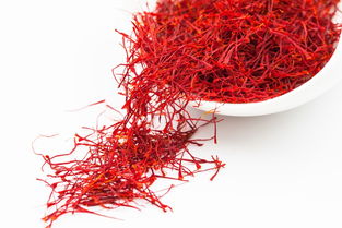 藏红花可以天天喝吗