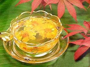 菊花枸杞子泡水喝有什么作用,菊花和枸杞一起泡水喝有什么功效