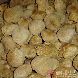猴头菇的泡发方法 猴头菇如何泡发方法