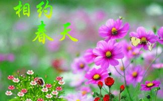 春天来了写一段话一年级 关于春天来了的一段话怎么写