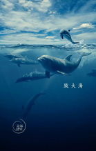 《致大海》原文
