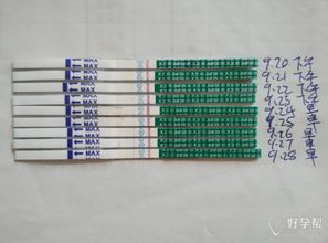 想了解一下排卵试纸怎么看的?
