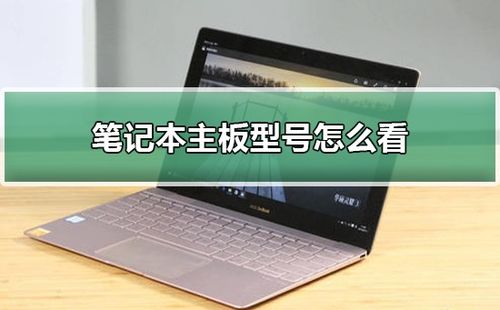 笔记本电脑型号在哪里看