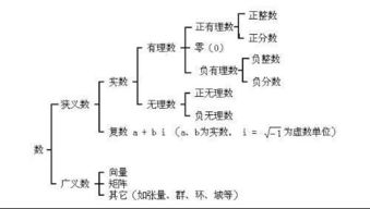 正整数集合用什么字母表示，正整数集N*或N+包括什么