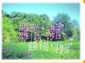 袁隆平的寻梦园赞扬了袁隆平什么样的可贵品质，袁隆平的寻梦园 请你概括这篇文章的主要内容