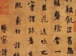 吾与汝怎么读，娑怎么读