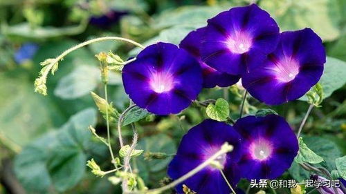 喻怎么读组词，瑜怎么读