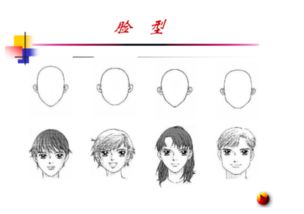 动漫脸型图片，动漫脸型比例图