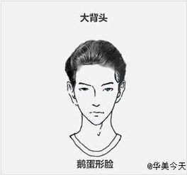 怎么画好动漫人物的脸型?
