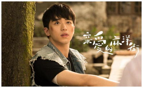 我要变成硬柿子的翔恩扮演者是谁?