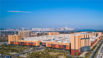 晋江鞋业的发展历史怎么样