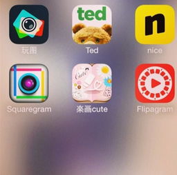 ins 是什么软件?