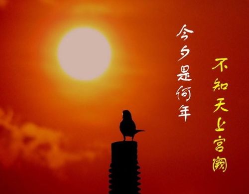 不见今夕是什么意思，不知今夕是什么意思
