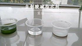 酸碱指示剂的自制方法