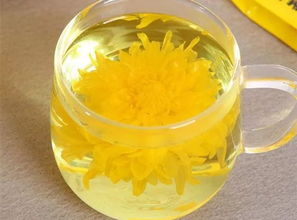 菊花茶为什么泡了会变成绿色 菊花茶泡变成绿色的原因