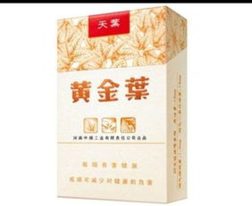 大天叶小天叶的分别