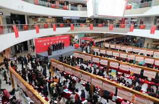 东营招聘会2021，东营招聘会计信息