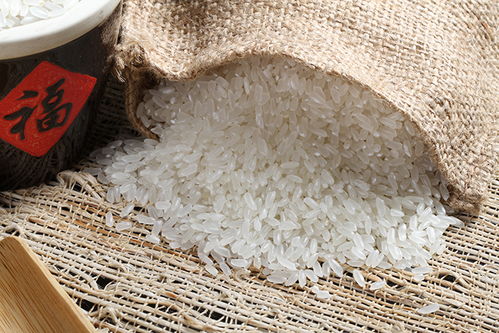 五常指的是哪五个方面，五常指的是哪五行属性