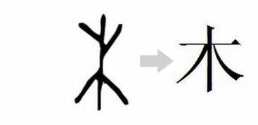 人和木组成什么字