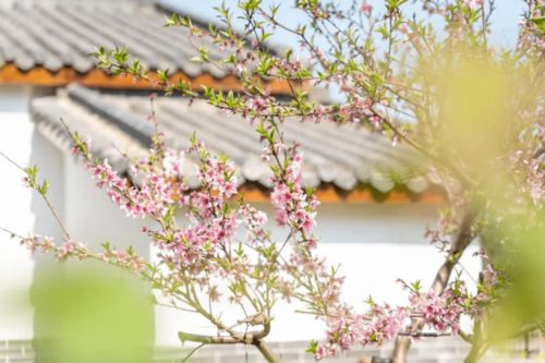 秋天是什么季节，春天属木因此春天是什么季节