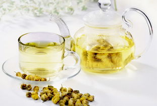 经期可以喝菊花茶吗?为什么?，经期喝什么排毒排污血
