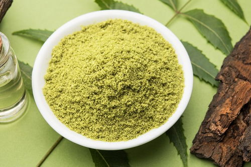 松花粉是什么味道，松花粉是什么树上结的