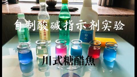 自制酸碱指示剂加入酒精的目的是什么，自制酸碱指示剂实验思考题
