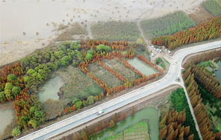 长江入海口宽度，长江入海口盐度
