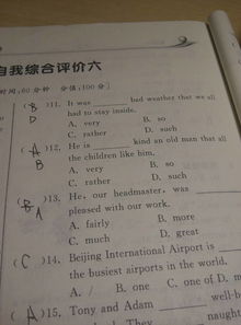 kind的用法及词组