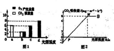 光线强度的单位是什么?详细说一下。