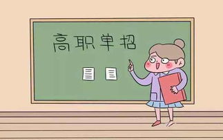 高职单招的总分多少