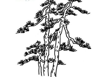 松树的画法国画水墨画