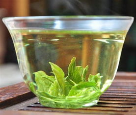 冬天喝荷叶茶能减肥吗，喝荷叶茶能减肥吗?会不会返弹